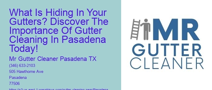 What Is Hiding In Your Gutters? Discover The Importance Of Gutter Cleaning In Pasadena Today!